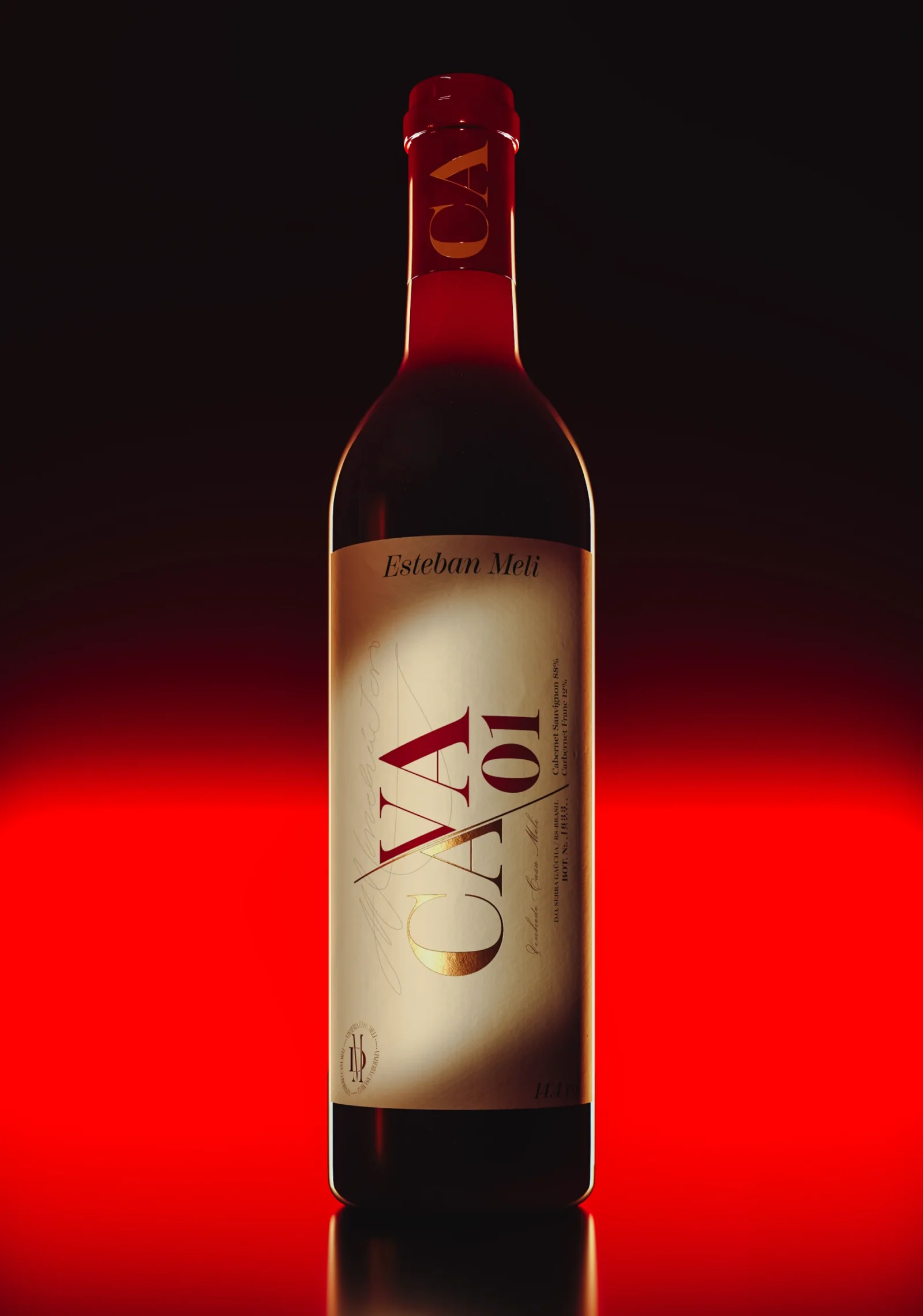 CA_Cam1